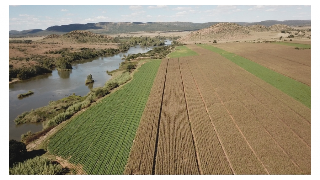1170 Ha Farm For Sale